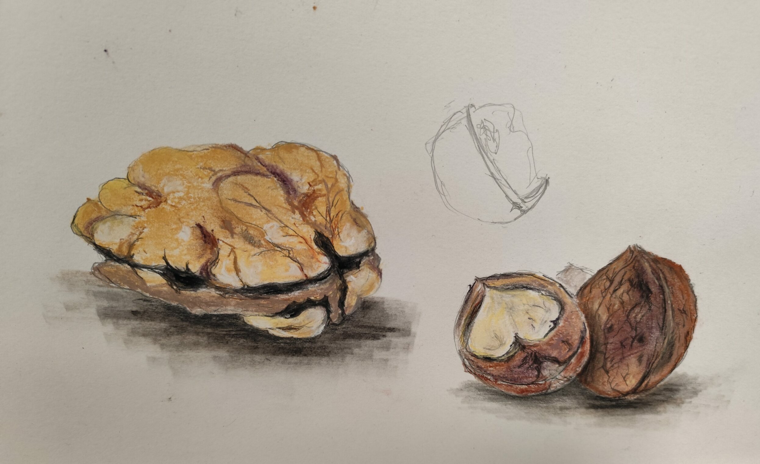 Lire la suite à propos de l’article Les Noix : du figuratif à l&rsquo;abstraction